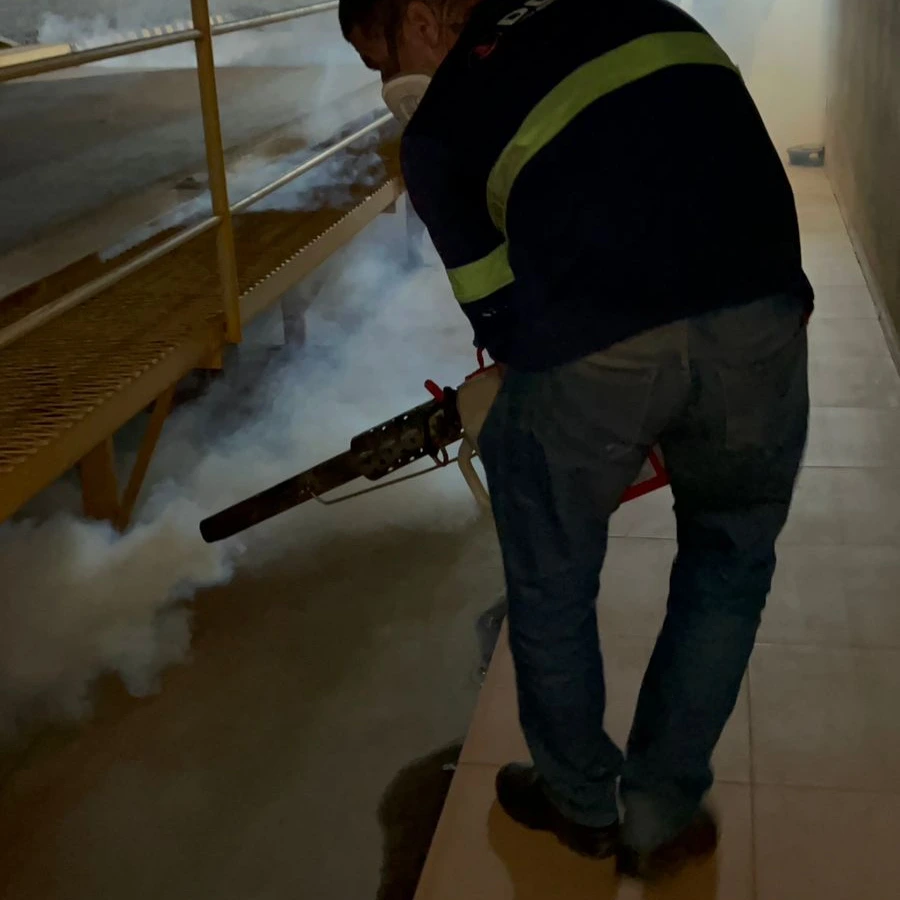 Dedetizadora de formigas em apartamentos