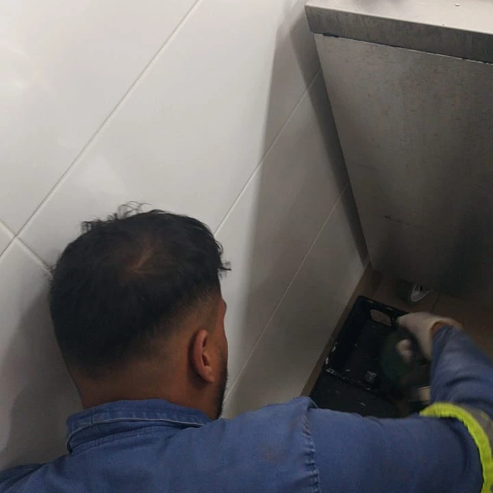 Descupinização de solo