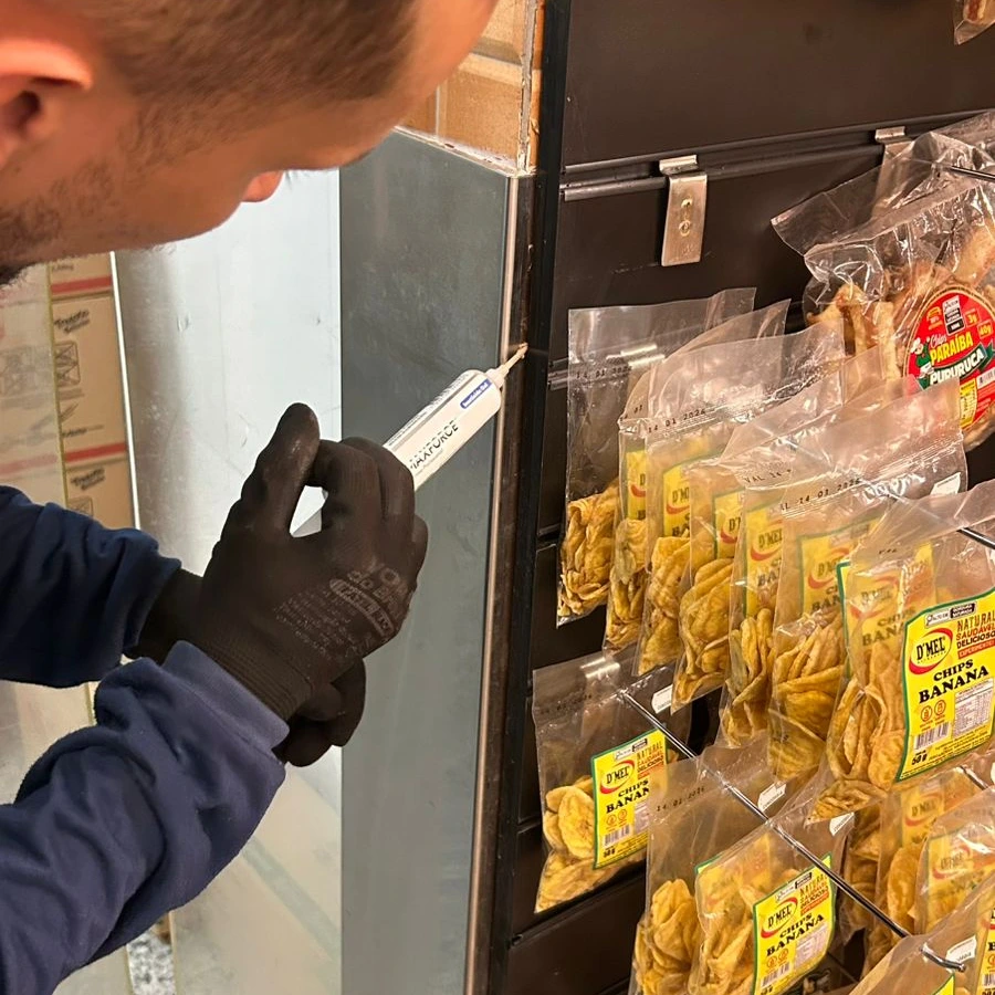 Empresa de dedetização de cupim