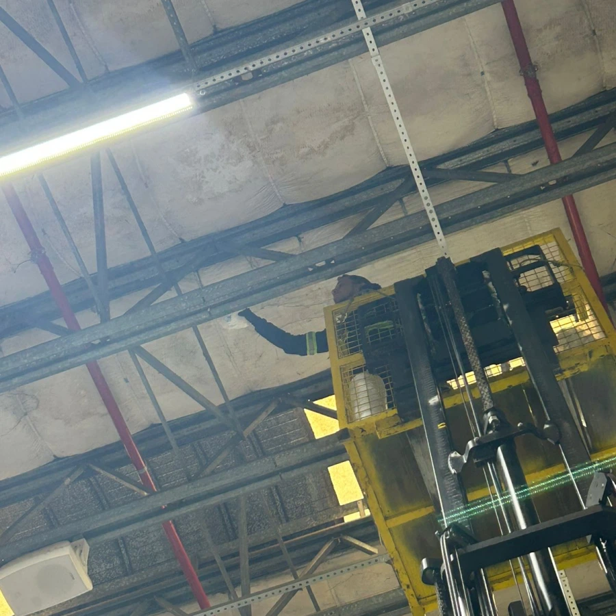 Exterminar pombos em Várzea Grande